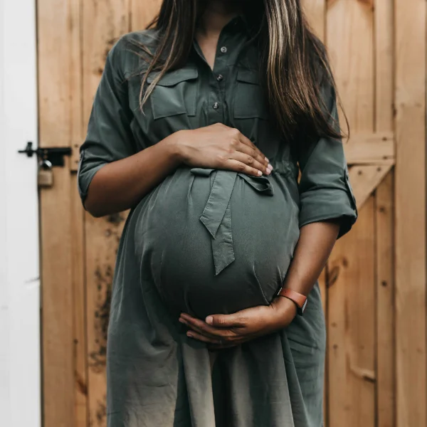 The Pregnancy Book